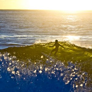surfing photography sydney