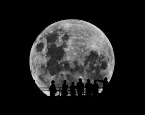 Nocturnes moon silhouette