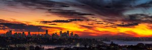 Sydney pano
