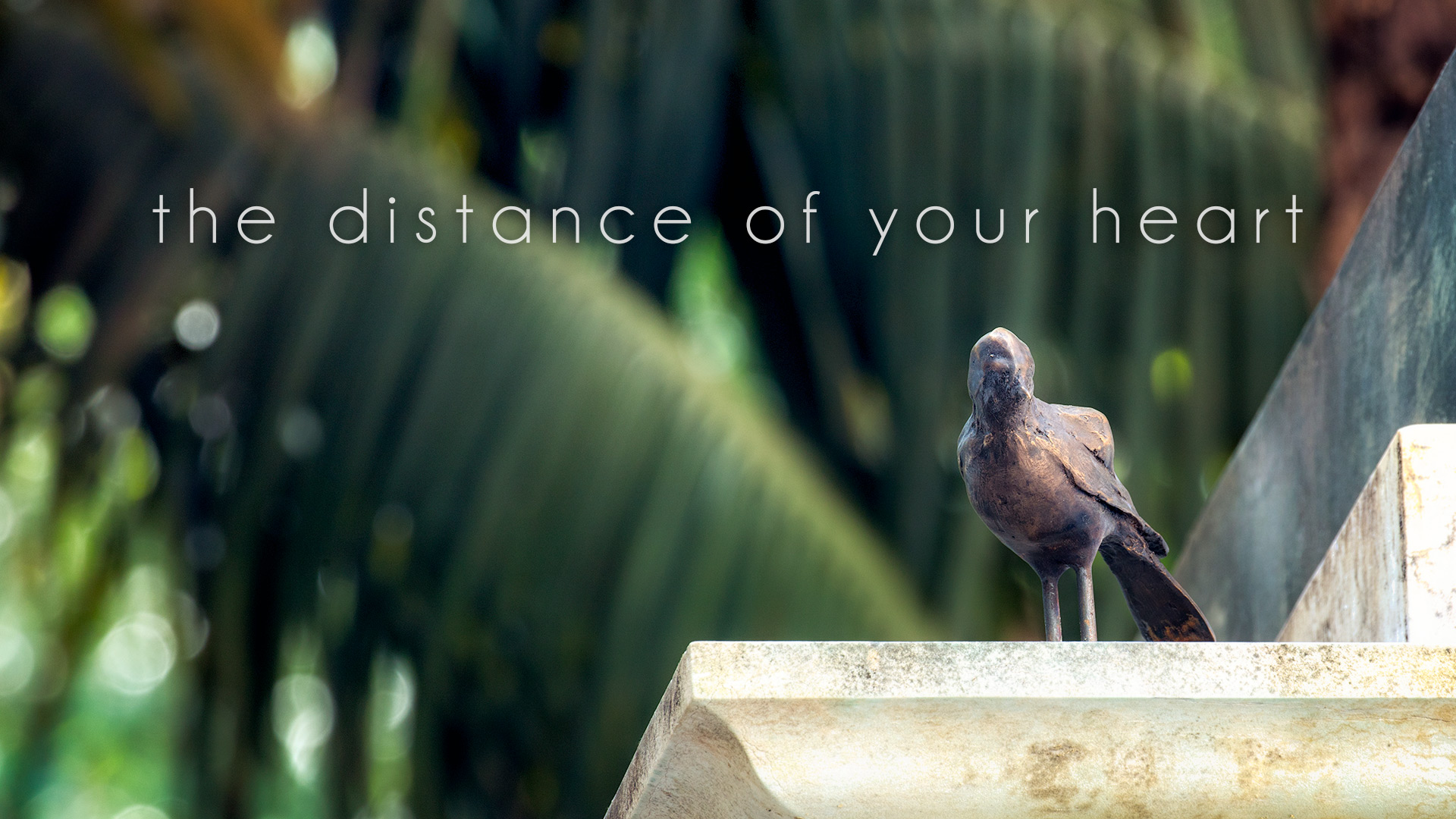 the distance of your heart